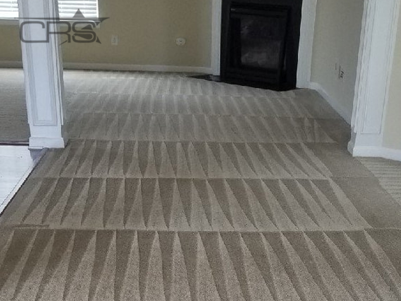 carpet cleaning crse